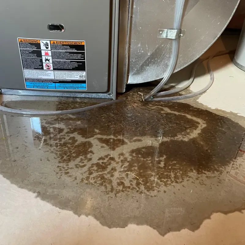 Appliance Leak Cleanup in East Bangor, PA